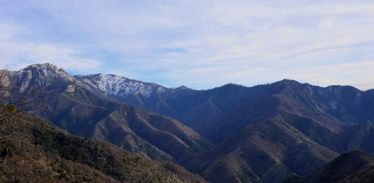 Filming in the wetlands