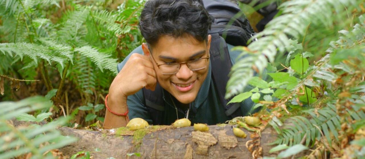 Admiring Banana Slugs